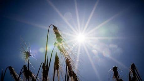Wetter: Wolken und Sonne in Berlin und Brandenburg