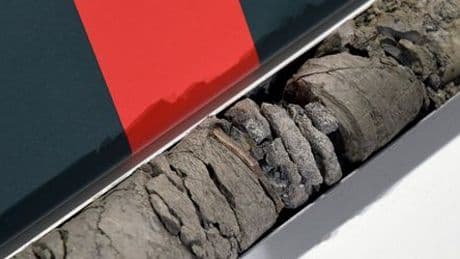 Denver: Naturkundemuseum entdeckt Dinoknochen unter eigenem Parkplatz