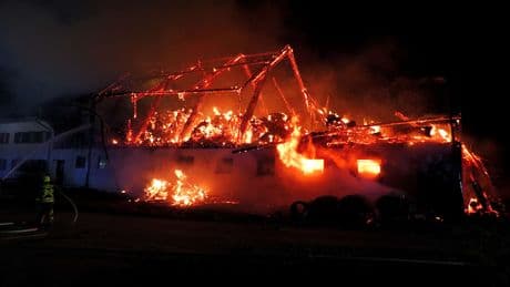 200 Feuerwehrleute im Einsatz - 6 Kälbchen sterben bei Bauernhof-Brand in Bayern