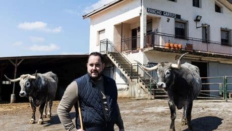 Una banda de cuatreros roba «por encargo» un buey en el Rancho Garras