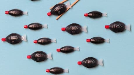 Australian state to become first place in world to ban soy sauce fish-shaped containers