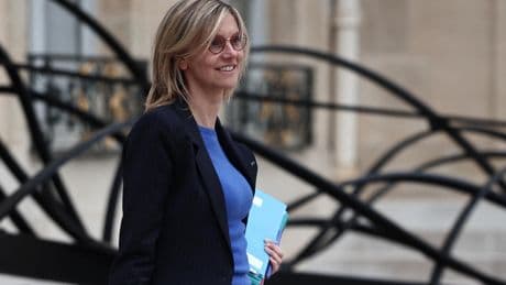La ministre de la Transition écologique redit son opposition aux néonicotinoïdes