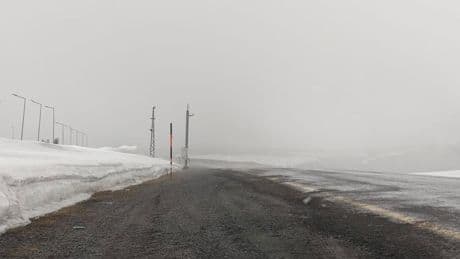 Ardahan'da kar yağışı; kara yolu karla kaplandı, görüş mesafesi düştü