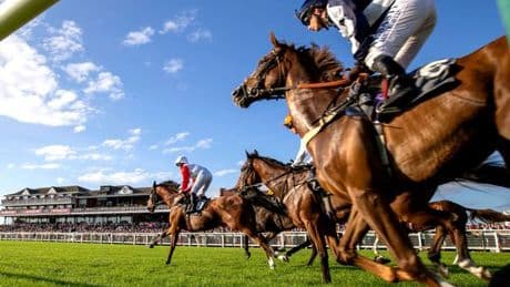 Newsboy’s horseracing tips for Monday’s three meetings, including Ayr Nap