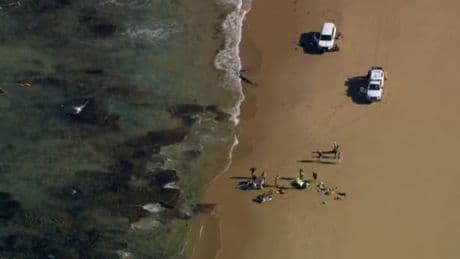 Three people rushed to hospital after helicopter crashes into the ocean near Point Lonsdale off Victoria coast