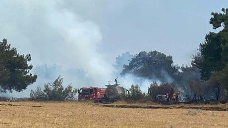 Çanakkale Ezine’de orman yangını: Havadan karadan müdahale sürüyor