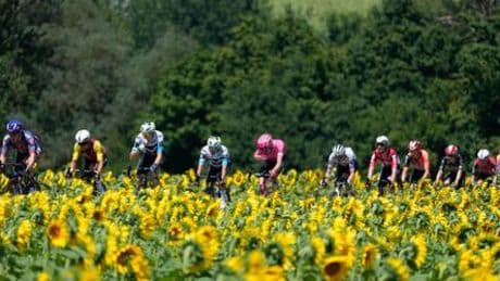 Tour de France: Jonathan Milan gewinnt die 17. Etappe