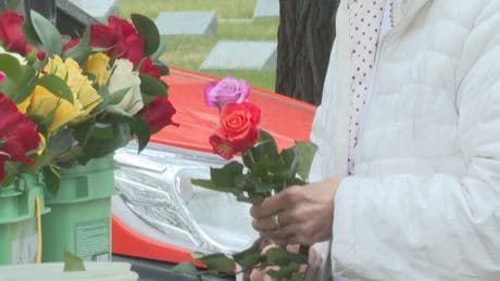 Lethbridge honours mothers at Mountain View Cemetery