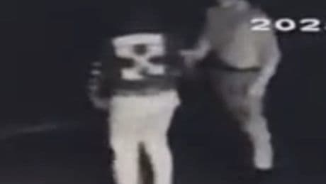 Police hunt vandals after more than 40 cars wrecked in overnight spree