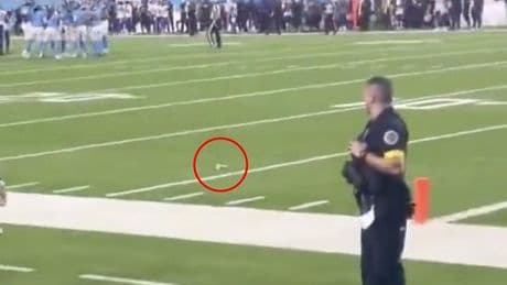 Police called to Vikings-Titans game as WNBA's sex toy scandal hits the NFL