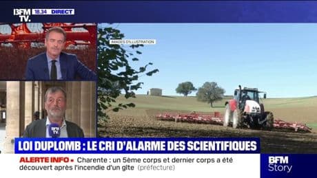 Loi Duplomb: "Nous sommes dans un moment très particulier de déni scientifique", dénonce Daniel Salmon, sénateur "Écologiste, Solidarité et territoire"