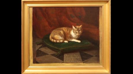 Le chat, une œuvre d'art éternelle