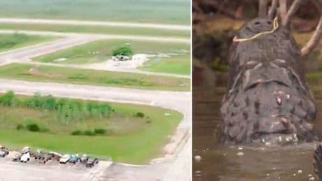 Florida to open 'Alligator Alcatraz' to house immigrants surrounded by 200,000 gators