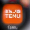 Chinese webwinkel Temu stopt met het verzenden van producten naar de VS