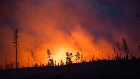Feuerwehreinsatz: Mehr als 200 Einsatzkräfte bei Waldbrand in Sonneberg