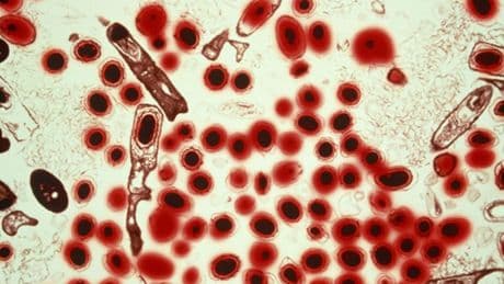 ChatGPT bosses fear its AI will be used to create devastating new ‘bioweapons’ and warns app will ‘hit that level’ soon