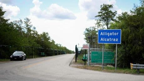 La justice ordonne la fermeture d’“Alligator Alcatraz”, un “revers pour Trump”