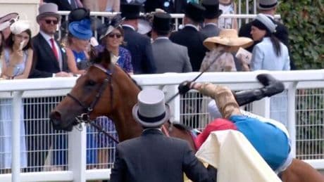 Royal Ascot jockey launched from winning horse post-race as chaos unfolds