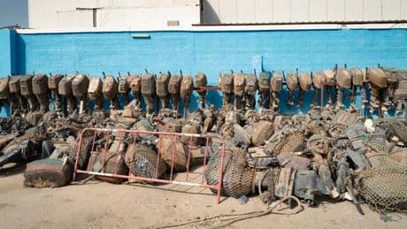Des opérations policières « vertigineuses » : la Mauritanie durcit sa politique migratoire sous la pression de l’Europe