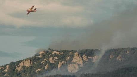 Incendie près de Narbonne : 2 000 hectares de forêt touchés, l’autoroute A9 rouverte à la circulation à partir de 10 heures