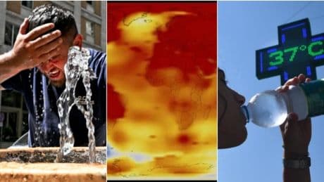 Caldo record: debolezza, crampi e ansia. Come difendersi? Perché la doccia fredda e la montagna non sono (sempre) buone scelte