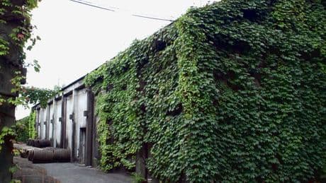 Dekanta’s Links To Scotch Whisky Cask Investments Raise Ugly Questions