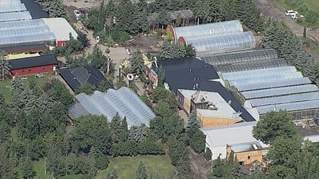 E. coli cases linked to Calgary-area restaurant take another big jump
