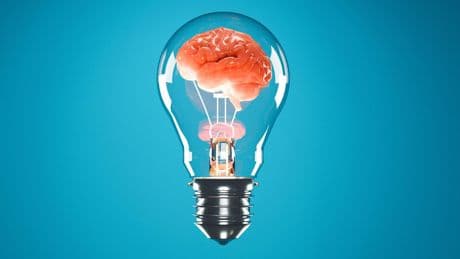 Quiz: Wie gut ist Ihr Allgemeinwissen? Testen Sie es in unserem Quiz