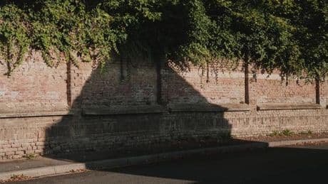 Après un meurtre par mutilation près d’Amiens, le suspect mis en examen pour assassinat