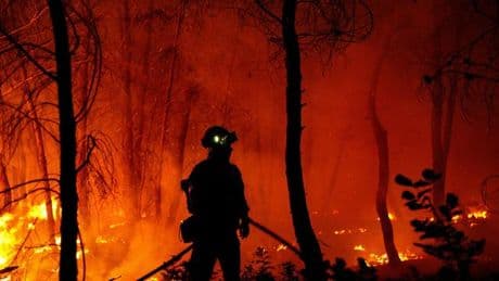 Waldbrände in Europa: Flüge von Deutschland nach Sardinien wegen Waldbrands umgeleitet