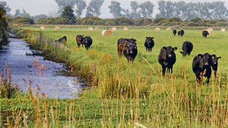 Landnutzung | Ruf nach der Moor-Renaissance
