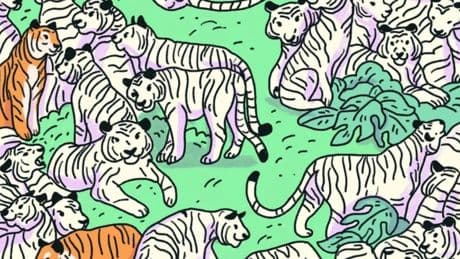 Yalnızca 5 saniyeniz var! Gizli zebra nerede duruyor! Yalnızca 130 IQ’ya sahip kişiler şıp diye buluyor