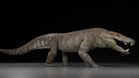 ‘Hypercarnivore’ crocodile relative that ripped apart dinosaurs discovered