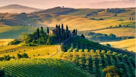 Turismo enogastronomico: un business in cerca di professionisti