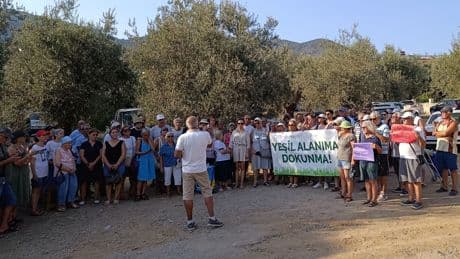 Altınoluk’ta zeytinlik alana “cami” tepkisi: “Yeşil alanıma dokunma”