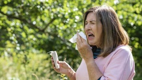 Brits urged to eat these foods to 'soothe' hayfever