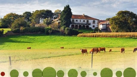 Las hipotecas sobre viviendas se disparan un 54,4% en mayo