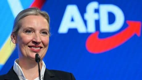 Germania, l'intelligence tedesca dichiara Afd un «pericolo per la democrazia». Ecco cosa rischia ora il partito