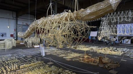 Dutch beach beasts find a final resting place in a new exhibition