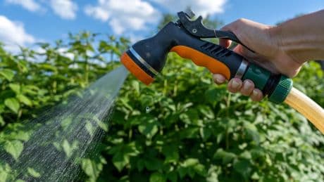 Kraut & Dübel: Gardena Multibrause für 22 statt 44 Euro: Garten-Angebote am Dienstag