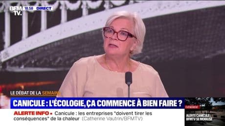 Canicule: "L'un des enjeux majeurs, c'est la désartificialisation", déclare Catherine Vautrin à propos du réchauffement climatique