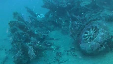 Eleven men died in a mystery WWII bomber crash. Their families have finally found the bodies