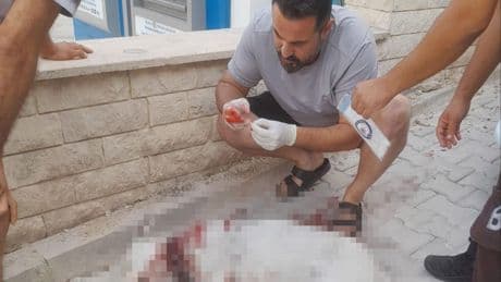 Denizli’de hamile köpeği vuran kişi tutuklandı