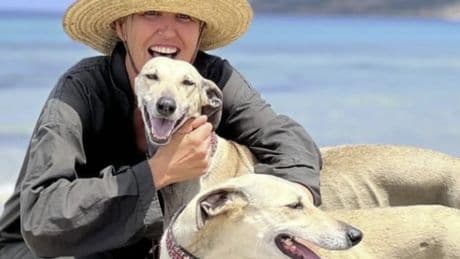 Túnez intenta salvar al sloughi, un perro milenario del que solo quedan 200 ejemplares
