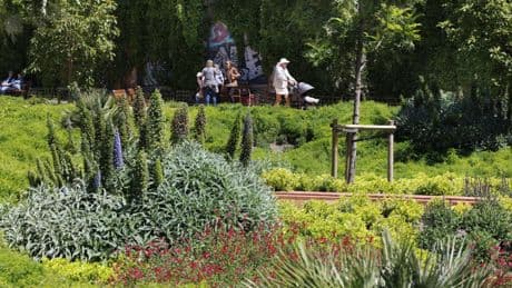 Barcelona acelera la adaptación de sus jardines a un mundo más seco