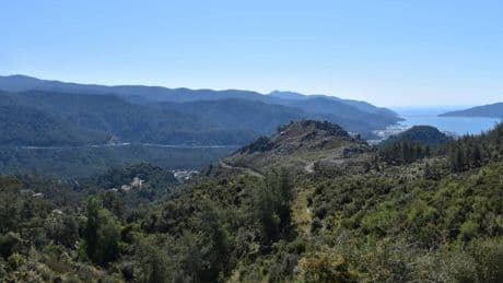 Muğla'da tatilcilere orman yangını uyarısı