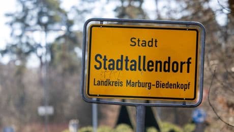 Ausgesetzter Hund: Welpe in Mülltonne entdeckt