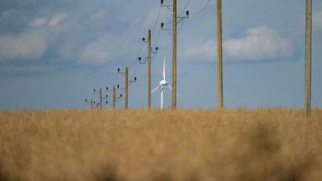 Umweltverband WWF sieht Südwesten bei Energiewende hinten