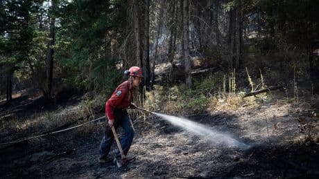 Worsening wildfire conditions in B.C. heighten concerns around province
