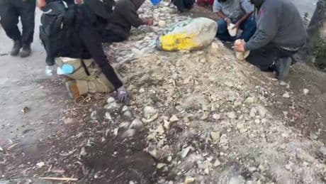Watch ‘Antifa’ LA rioters make rocks to pelt ICE amid ‘Death to America’ taunts…but hero legal migrants HELP hurt cop